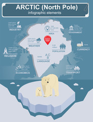 Wall Mural - Arctic (North Pole) infographics, statistical data, sights