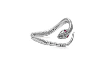 Wall Mural - Silver Snake Ring with Red Crystal Eyes