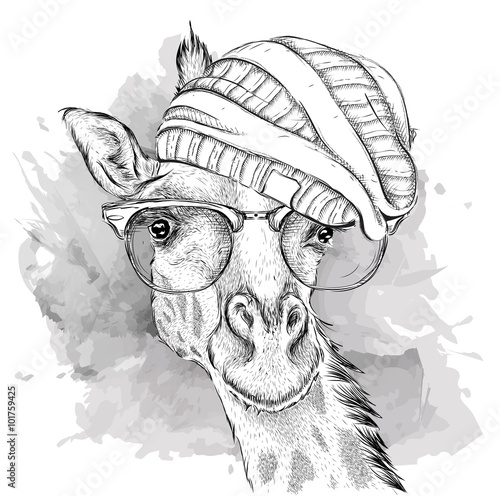 Obraz w ramie Hand giraffe raccoon in a hat. Vector illustration