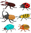 Cartoon funny beetle collection 