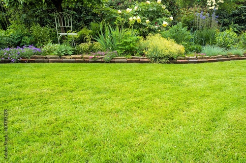 Rasenfläche im Garten – Stock-Foto | Adobe Stock