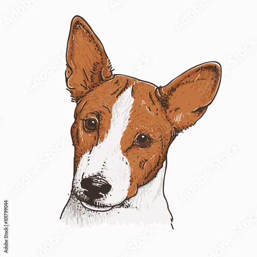 Toy Fox Terrier Dog Vector Illustration - Buy this stock vector and