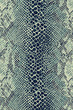texture of print fabric striped snake leather