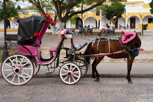 Horse Carriage In Izamal In Mexico
