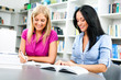 © djoronimo - Students learning in library