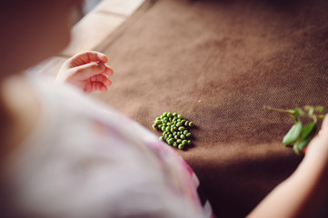 Sticker - Green Seeds on Table