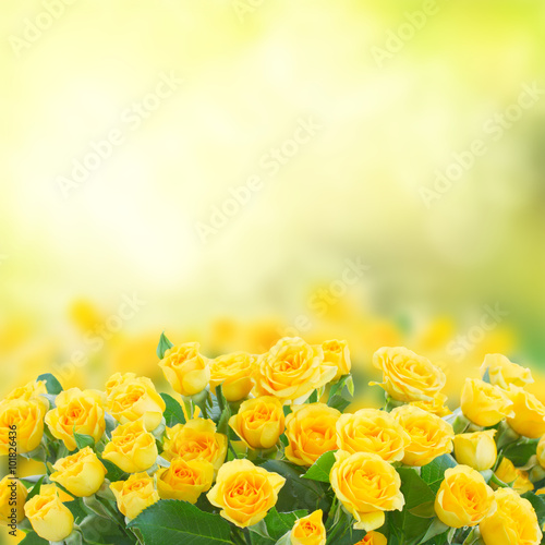 Obraz w ramie bouquet of fresh roses