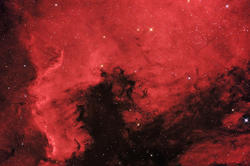 Wall Mural - north america nebula (ngc 7000) in swan constellation