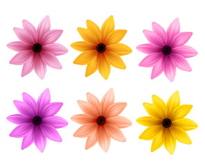 Wall Mural - Realistic 3D Set of Colorful Daisy Flowers for Spring Season Isolated in White Background. Vector Illustration
