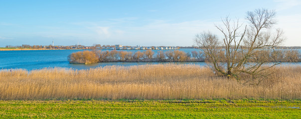 Shore of a lake below a blue cloudy sky in winter