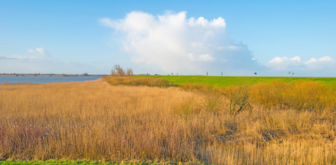 Shore of a lake below a blue cloudy sky in winter