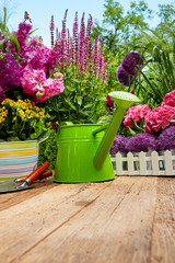 Wall Mural - Outdoor gardening tools on old wood table 