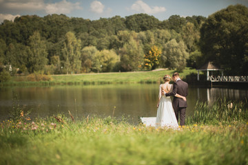 bride and groom together. back view