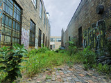Fototapeta Uliczki - Urban alley with overgrown weeds and graffiti - landscape photo