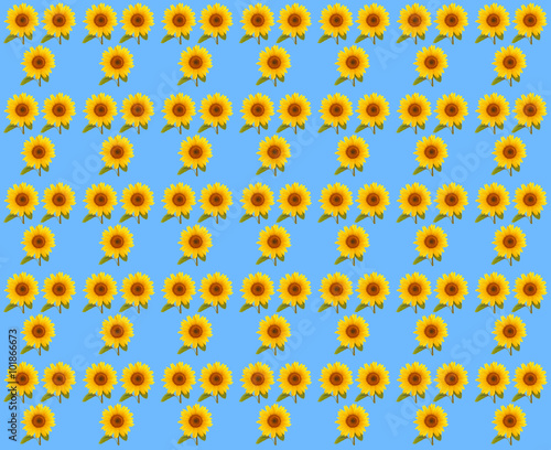 pattern flower sunflower