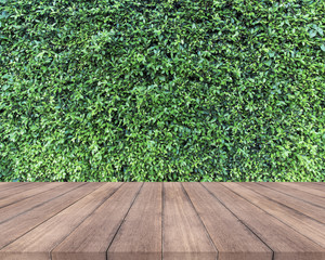 Wall Mural - Wood plank  and green leaves wall background