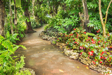 Wall Mural - Pathway in the garden in rainy day.