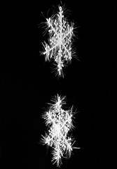 Wall Mural - snowflakes