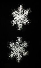 Wall Mural - snowflakes