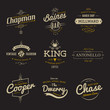 Vector vintage labels. Templates Set for banner, insignias, business brand logo design.