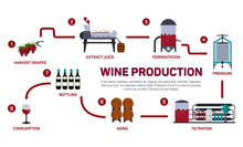 Vector Illustration Of Wine Making. How Wine Is Made, Wine Elements, Creating A Wine, Winemaker Tool Set And Vineyard, Flat Infographic. Production Of Alcoholic Beverages.