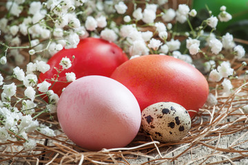 Red and pink Easter eggs and quail spotted eggs on old wooden ba