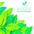 Eco nature plant colorful illustration. Ecology green leafs vector background. Environment spring abstract design concept.