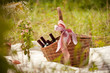  basket with wine in a forest glade on warm Sunny day