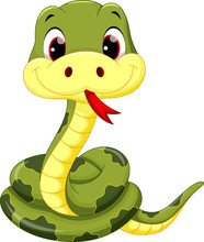 Cute Baby Snake Cartoon