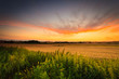 © Voyagerix - Beautiful sunset on a spring field