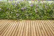  wooden deck and beautiful green leaf