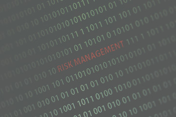 Wall Mural - 'risk management' text in the middle of the computer screen surrounded by numbers zero and one. imag