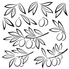 Wall Mural - Set Olive Branches, Berries and Leaves Monochrome Black Pictograms Isolated on White Background. Vector