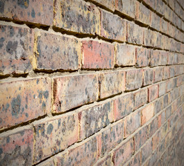 in london   the    abstract    texture of a ancien wall and ruin