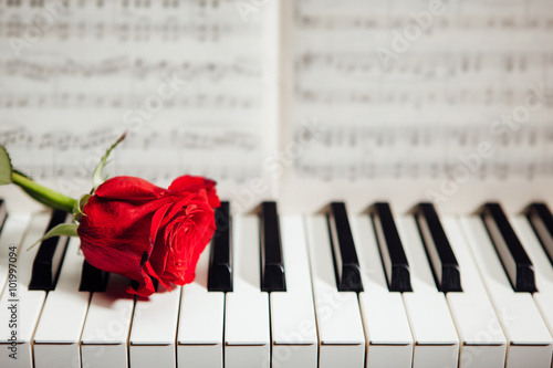 Fototapeta na wymiar red rose on piano keys and music book