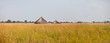 panorama of grassland of south sudan