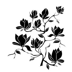 Wall Mural - Flowering Branch of Magnolia on white background vector illustration