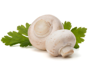 Champignon and parsley herb still life isolated on white backgro