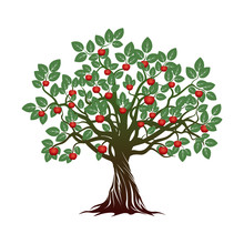 Old Tree With Green Leafs, Roots And Red Apples. Vector Illustration