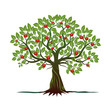 Old Tree with Green Leafs, Roots and Red Apples. Vector Illustration.
