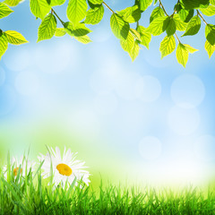 Poster - Abstract sunny spring background