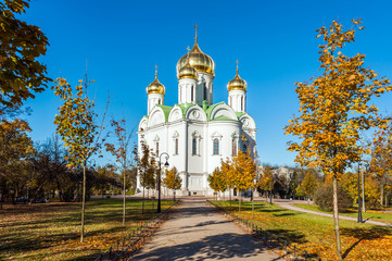 Wall Mural - Cathedral Of St Catherine in Tsarskoe Selo (Pushkin), St Petersburg, Russia
