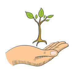 Wall Mural - hand with a young tree symbol
