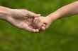 © rodimovpavel - adult holding a hand of child, closeup