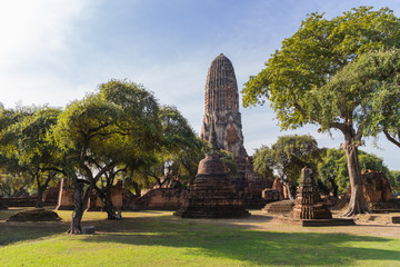 Wall Mural - ancient temple under sunlight with the tree at Wat Pharam