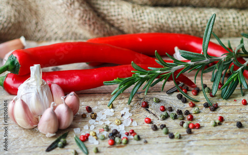 Obraz w ramie Condiments and spices - salt, rosemary, garlic, pink and black pepper, chilli