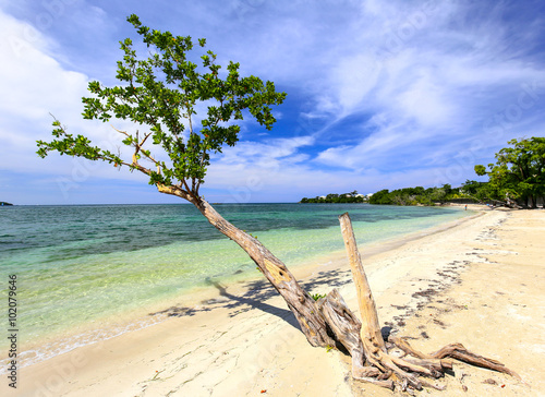 Obraz w ramie Tropical sand beach with tree at the Carribean.