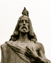 Pigeon Sitting On The Head Of Jesus Statue