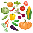Vegetables icons set with tomato, maize, cabbage isolated on white background. Vector illustration