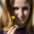 © Alonso Aguilar - Yellow daisy into the fingers of a young woman